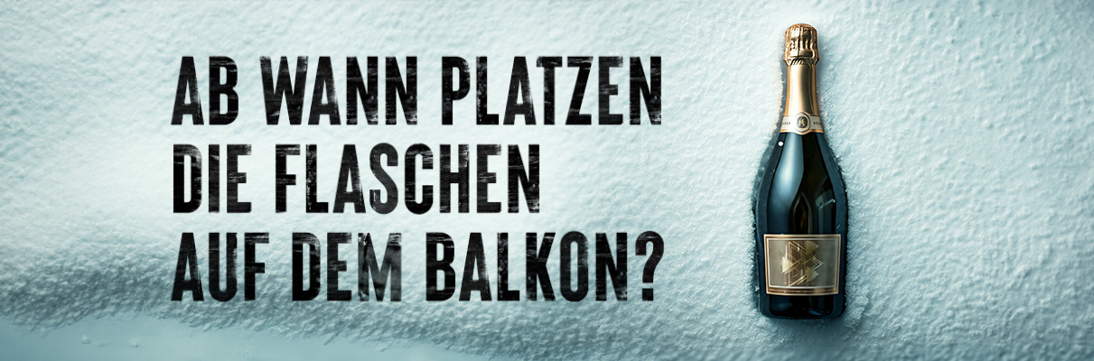 Magazin LP 1211X400 7 Flasche